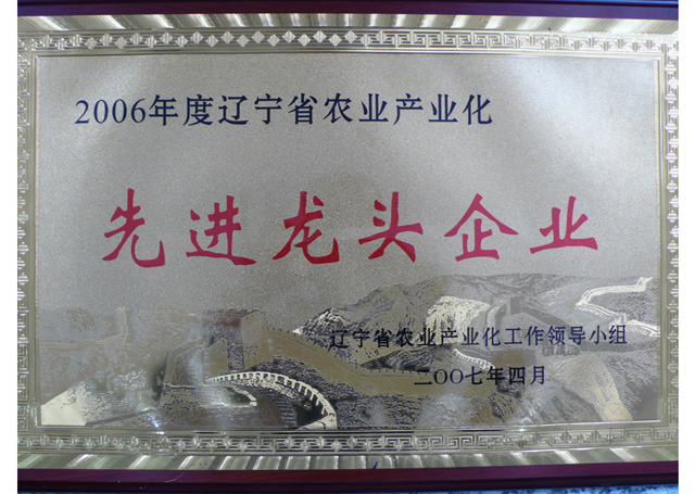 先进龙头企业