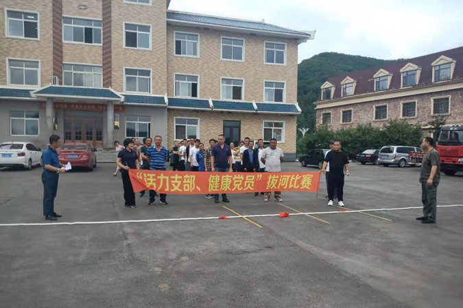 企业动态