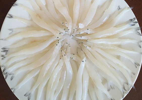 银鱼
